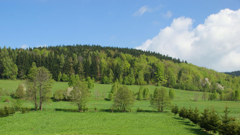 Villa La Val, Karkonosze Szarocin Экстерьер фото